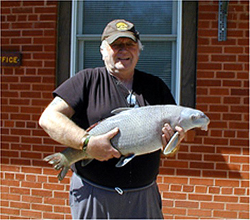 Record photograph for Cycleptus elongatus
